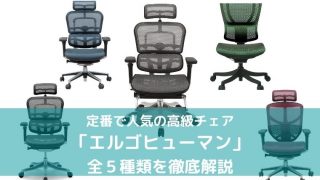 エルゴヒューマン5種類